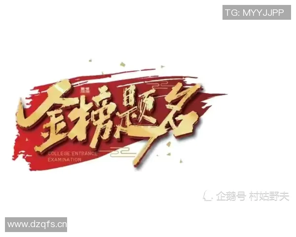 深圳排球队的辉煌征程与大满贯梦想的追逐之路